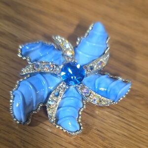 3 Items For $15 Blue Starfish Brooch with Silver Accents